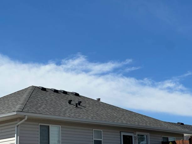Best Chimney Flashing Repair  in Martinez, GA